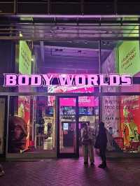 Exploring the Human Body at Body Worlds Amsterdam