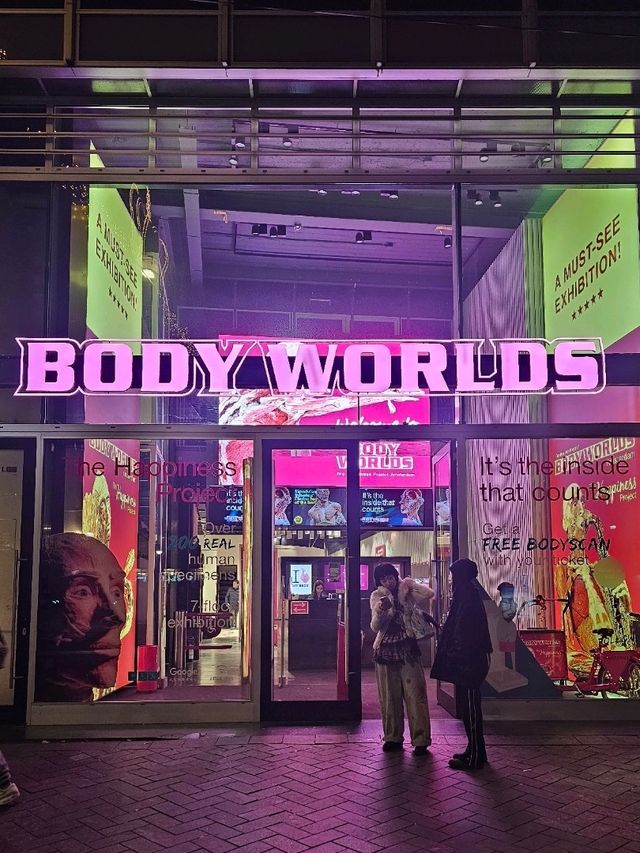 Exploring the Human Body at Body Worlds Amsterdam