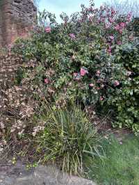 Lady Herbert’s Garden: A Hidden Oasis in Coventry