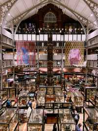 🦖 Oxford University Museum of Natural History: A Timeless Adventure!