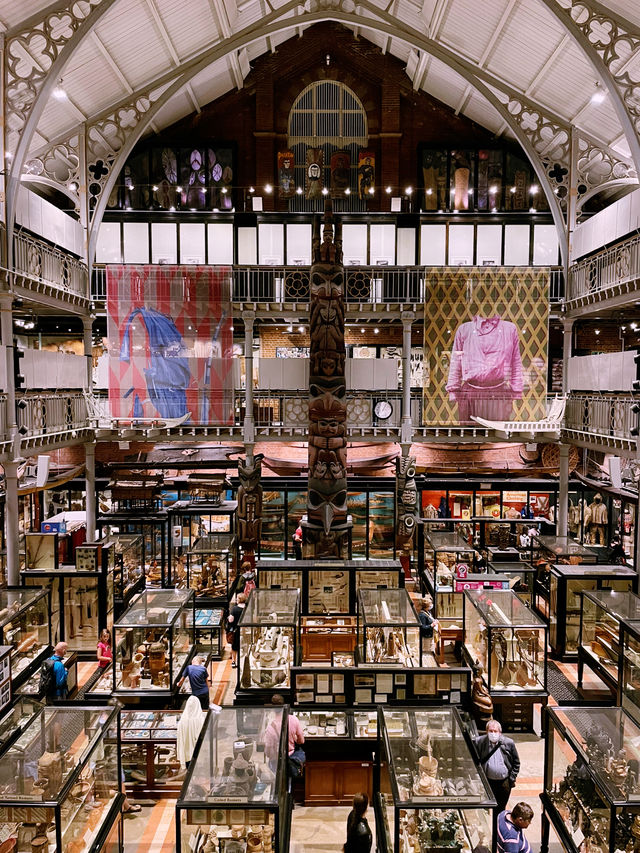 🦖 Oxford University Museum of Natural History: A Timeless Adventure!