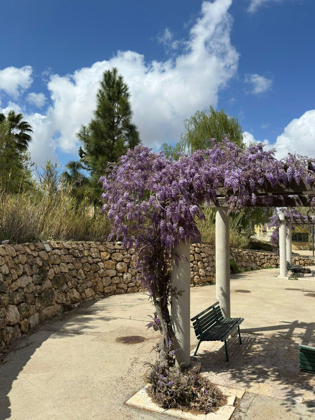 Al-Hussein Park