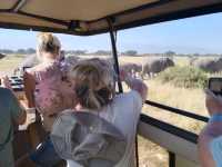 Kenya memorable safari 