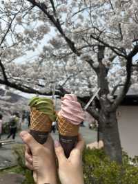4 Days in Tokyo
