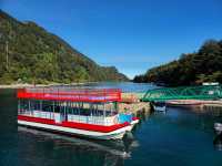 해외여행 칠레 푸에르토 바라스의 Mirador Lago todos los Santos