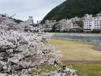 Gero City: the Top 3 Hot Spring spot in Japan