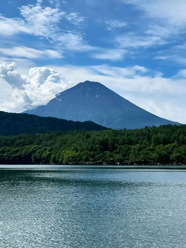 🗻 Kawaguchiko Day Trip: The Best Mt. Fuji Views & Things to Do