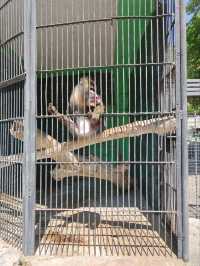 Yerevan Zoo