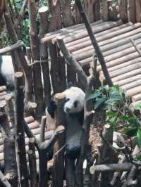 Your Cheat Sheet to Visiting China Without Visa Stress