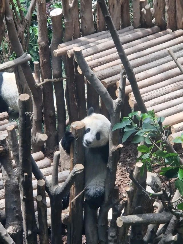 Your Cheat Sheet to Visiting China Without Visa Stress