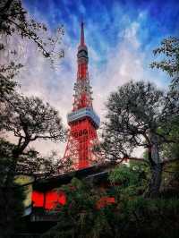 1 day itinerary-TOKYO🇯🇵