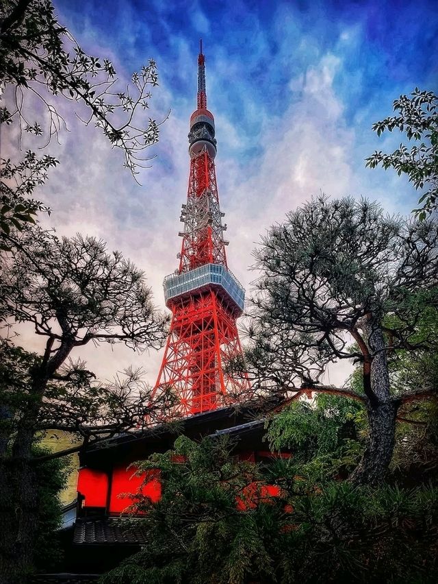 1 day itinerary-TOKYO🇯🇵