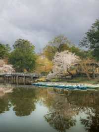 🌸 Nara Park: Where Nature, History & Sacred Deer Meet 🇯🇵✨
