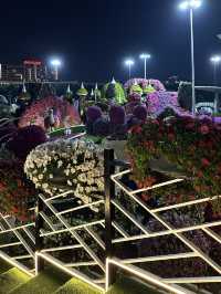 Flowers everywhere- Miracle Garden