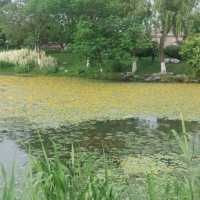 Nice parks with lakes