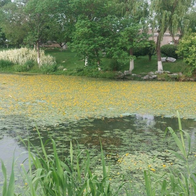 Nice parks with lakes