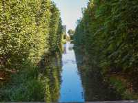 🌿 Park Oliwski: Peaceful Green Escape in Gdańsk