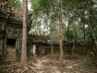 Angkor Complex – A Timeless Wonder of Cambodia