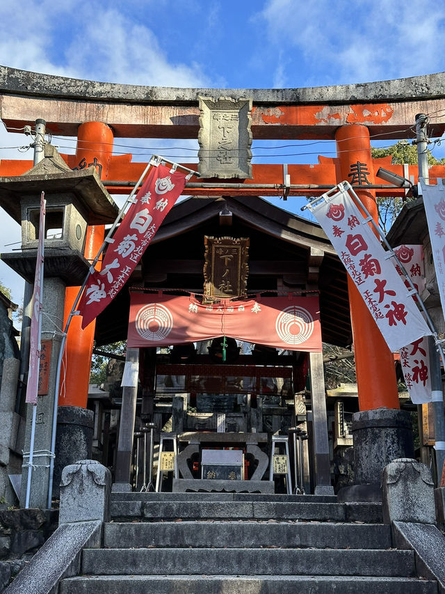 Exploring Kyoto’s spiritual heart was an absolute highlight!