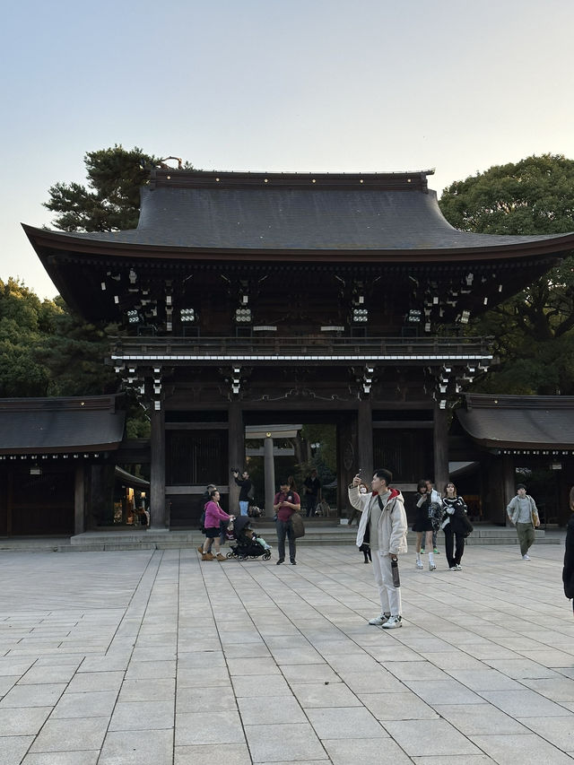 Japan Itinerary 10: Ready for a high-energy Tokyo adventure Japan Itinerary 10: Ready for a high-energy Tokyo adventure