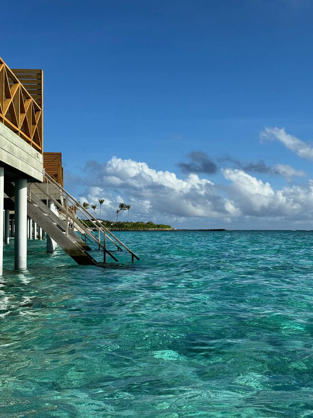 Joy Island Maldives — Where Luxury Meets the Rhythm of the Reef Joy Island Maldives — Where Luxury Meets the Rhythm of the Reef