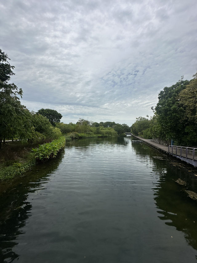 💮 🌿✨ Gardens by the Bay -Daytime