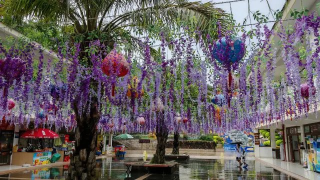 三亞鳳凰嶺公園