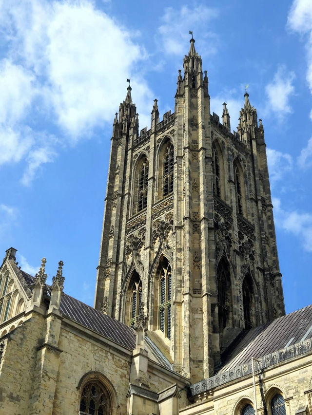 ✨ A serene escape filled with awe, silence, and storytelling ✨