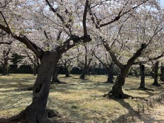 따뜻한 계절이 되면 The Stray는 특히 활기를 띱니다
