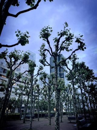 日落映照下的拉德芳斯：巴黎未來感天際線時刻 
