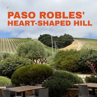 Niner Wine Estates: A Paso Robles Winery With a Heart Cut Into the Hill