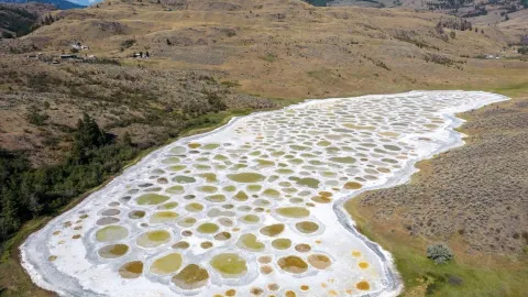 รีวิวทะเลสาบลายจุด (Spotted Lake) ประเทศแคนาดา 🇨🇦🌈✨ — traveler post in โอโซยูซ