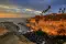 astarian_2841