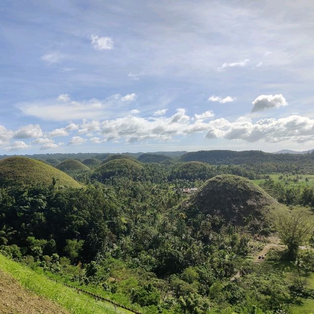🇵🇭The CHOCOLATE HILLS must-visit🇵🇭