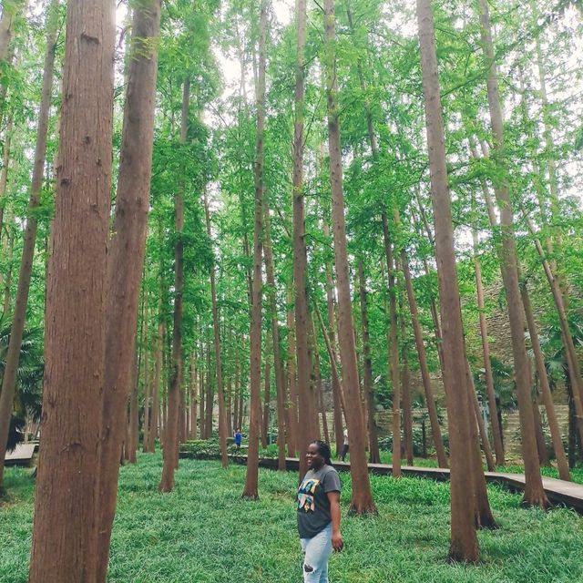 Peaceful Park in Nanjing