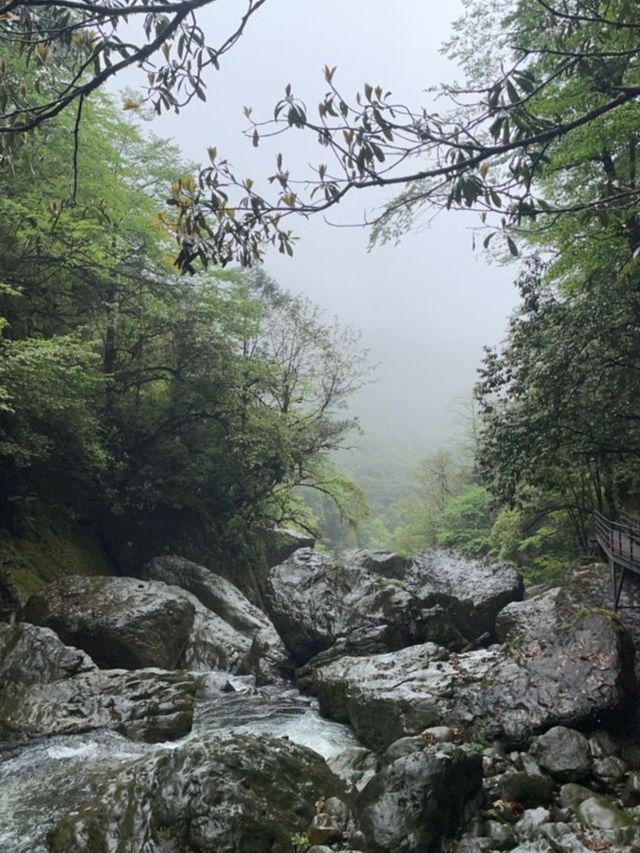 Longcangou Forest Park