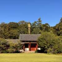 The worlds biggest Bronze Buddha statue