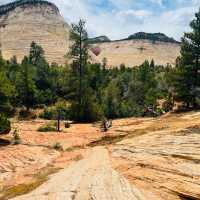 🏞️ Zion National Park: Nature's Masterpiece 