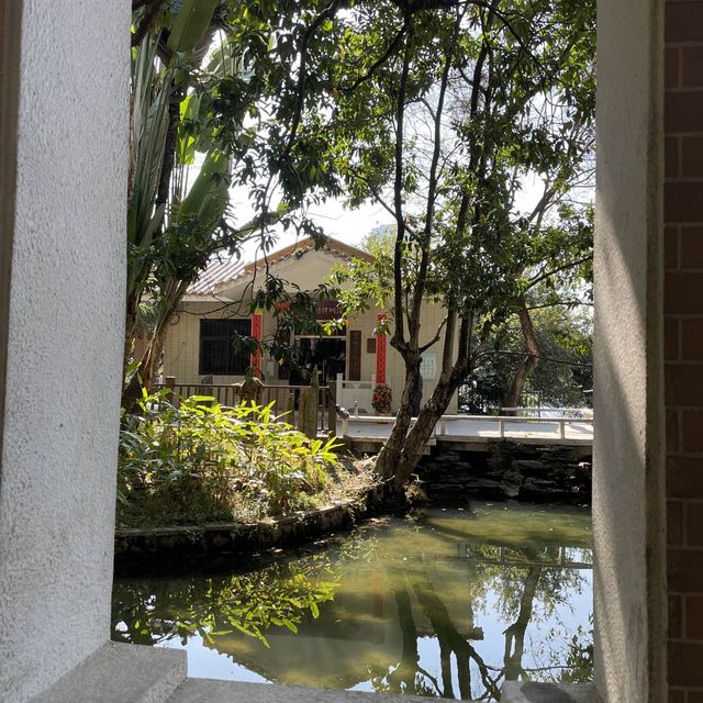  A stunning park in the heart of Shenzhen