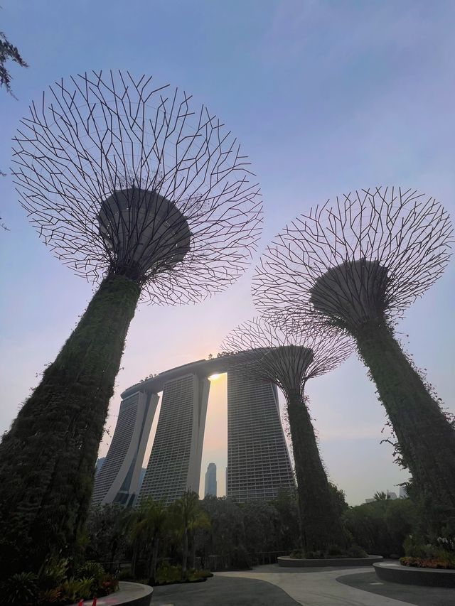 A Whirlwind Visit: Gardens by the Bay