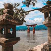 MIYAJIMA ISLAND ( perfect 1-day trip from Hiroshima)