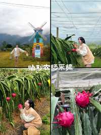 廣州這裡好治癒漫畫般的稻田遇見山水