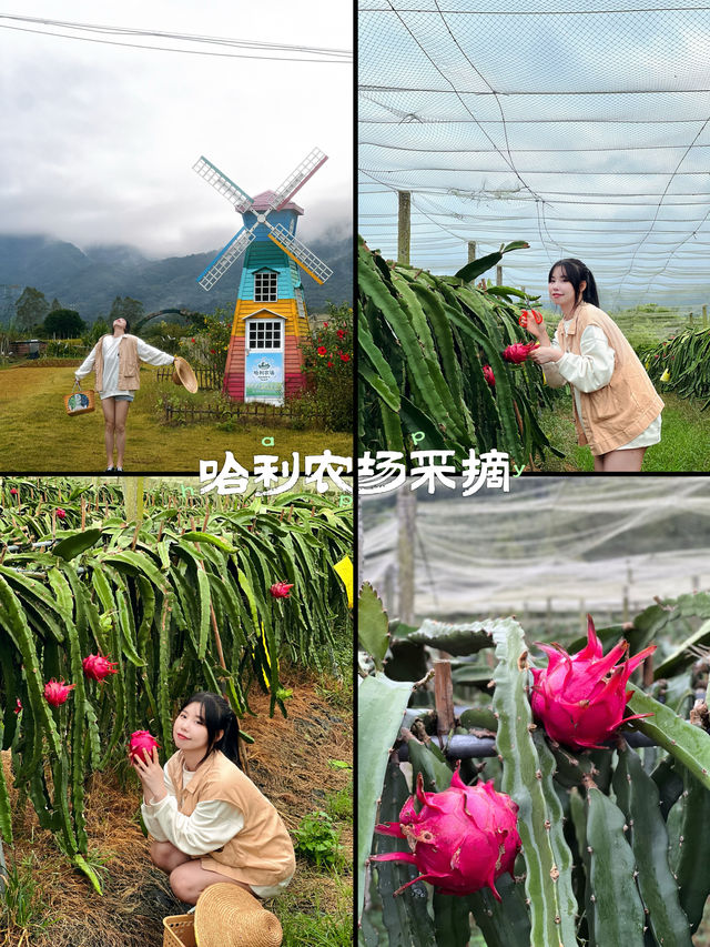 廣州這裡好治癒漫畫般的稻田遇見山水