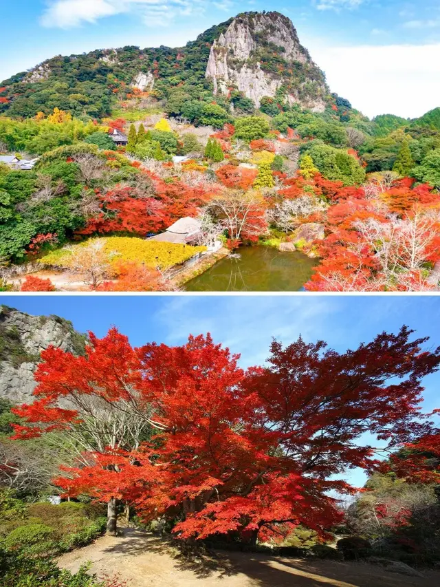 九州の紅葉狩り名所と隈研吾の温泉を満喫します