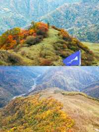 人間忽晚，山河已秋--川西彩林