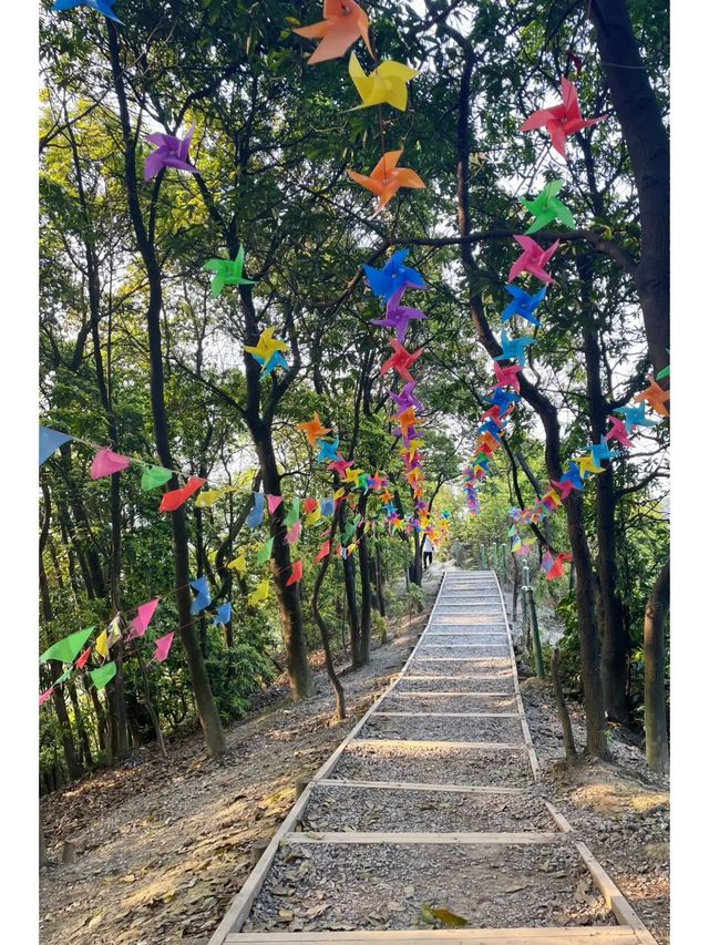 安徽淮北|龍脊山風景區|真還不錯