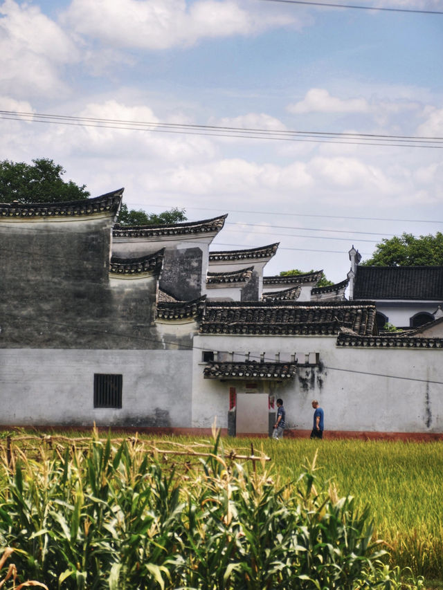 湖南旅遊｜夢中的湘南田園-周家大院