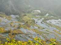 雲南元陽梯田五天旅遊攻略