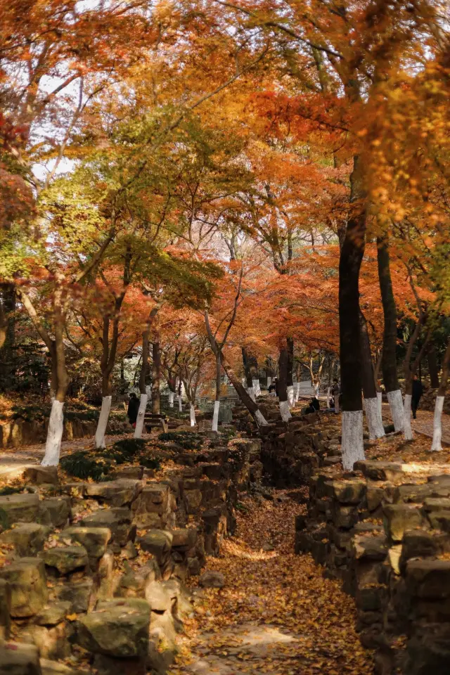 週末はどこへ行くか一一虞山の風景は絵のように美しい