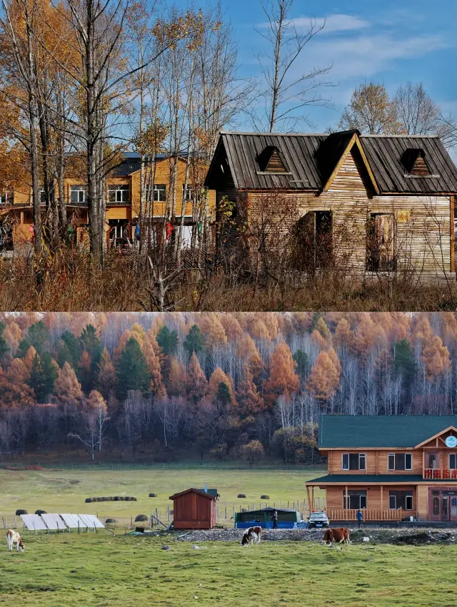 Qi Qian, a village on the Sino-Russian border, exists like a utopia